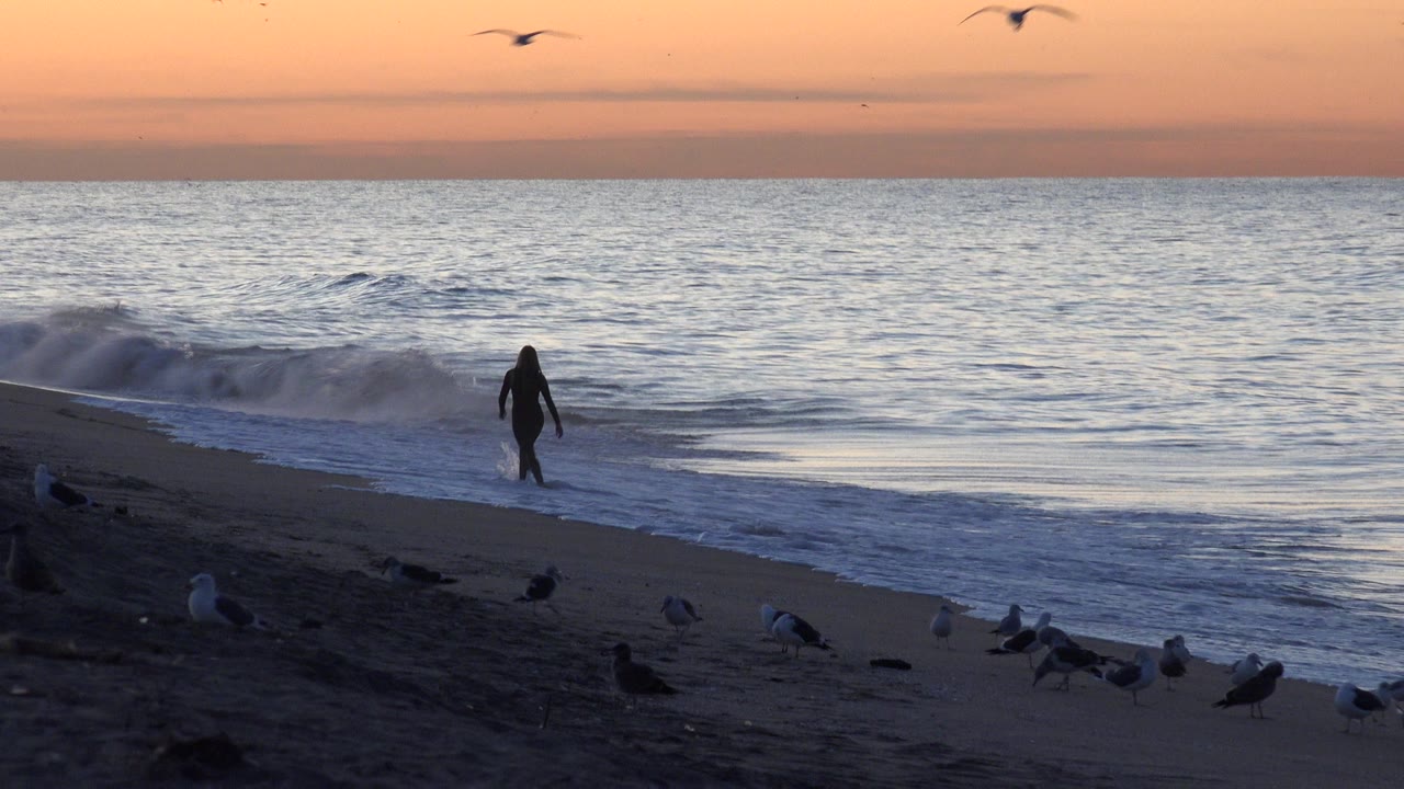Dusk beach with birds on sand, ocean waves, and a distant shoreline walker.