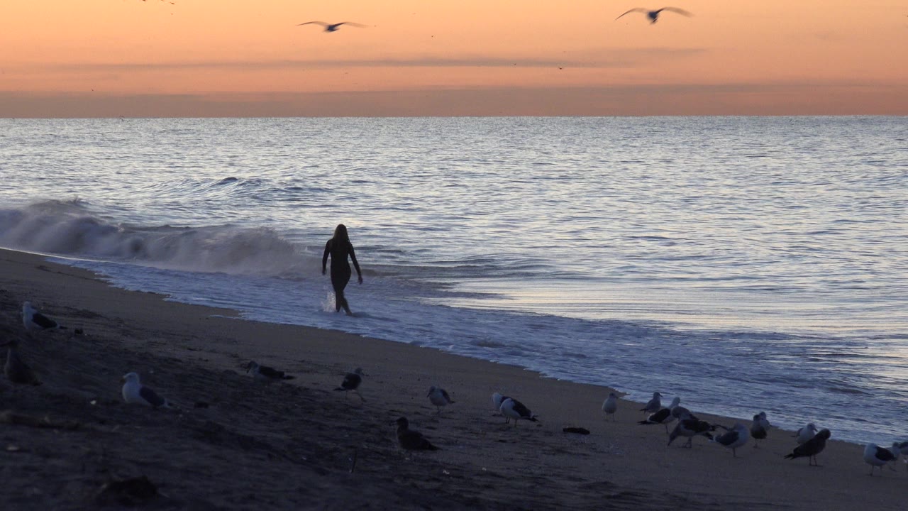 At Huntington Beach, the walker has moved along the shore while birds remain clustered on the sand and low waves roll in behind them.