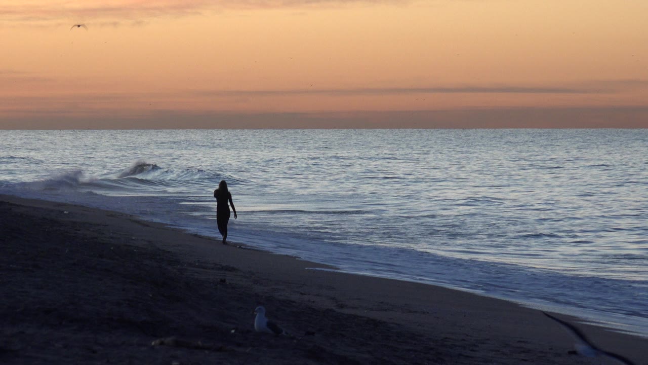 A wide Huntington Beach sunset view shows a dark shoreline, small surf, orange sky, birds overhead, and a distant silhouetted person near the waterline.