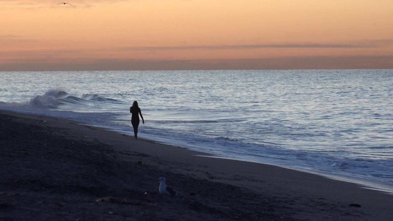Wave breaking near shore with a distant silhouette and birds above.