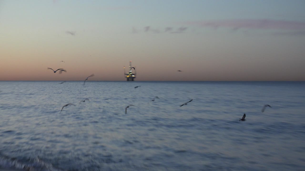 Birds over open ocean with a distant offshore structure at dusk