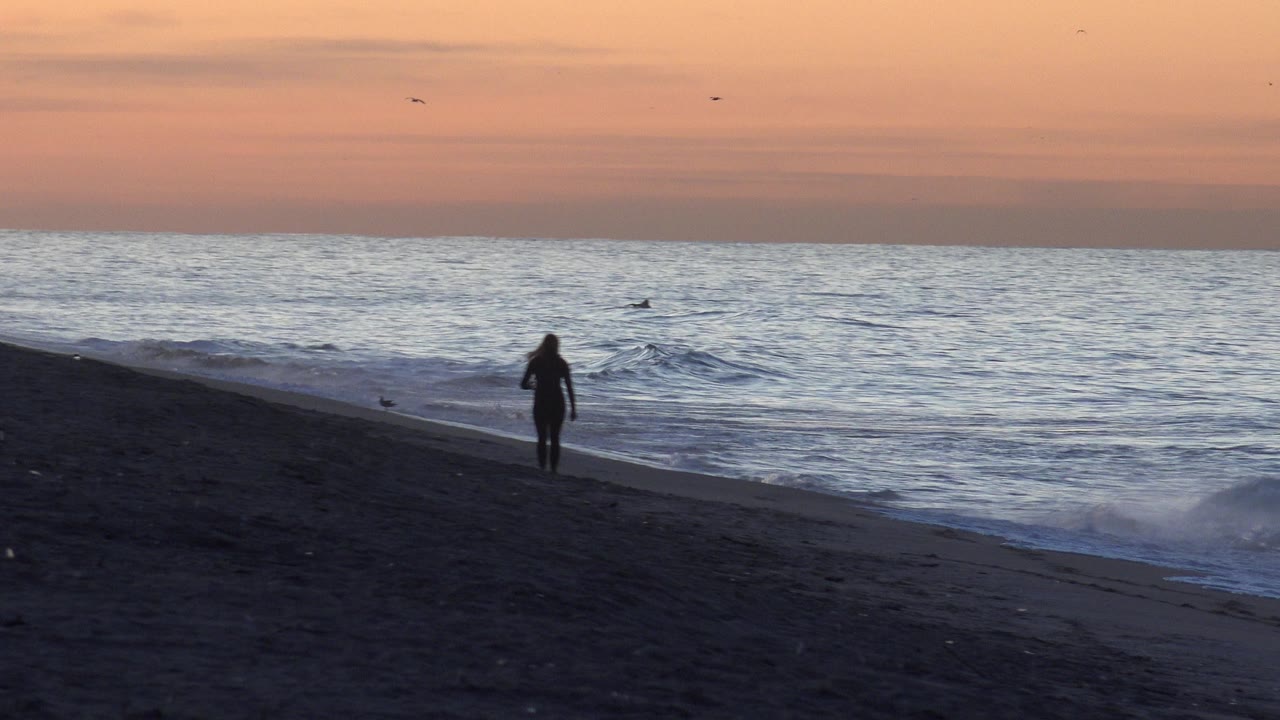Walker silhouetted beside ocean waves at dusk.