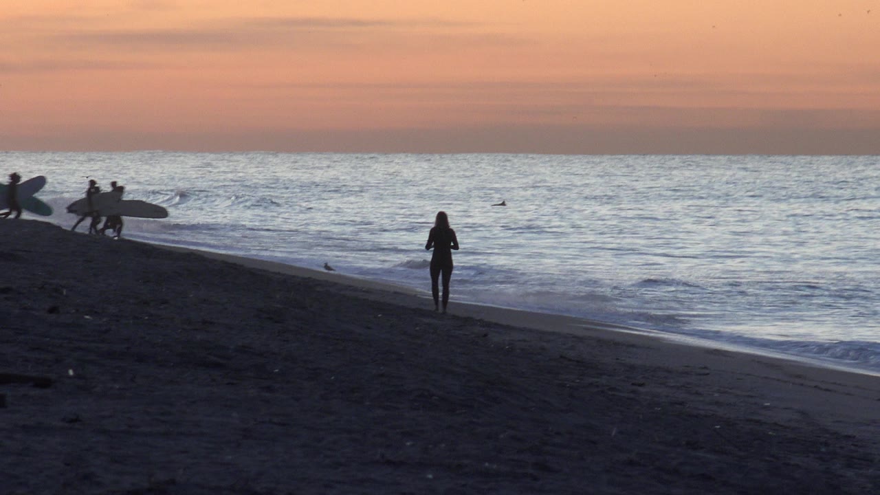 Silhouetted beachgoers and surfboards beside the ocean at sunset.