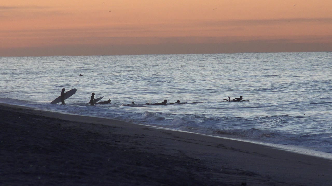 Surfers and boards near the shoreline at sunset.