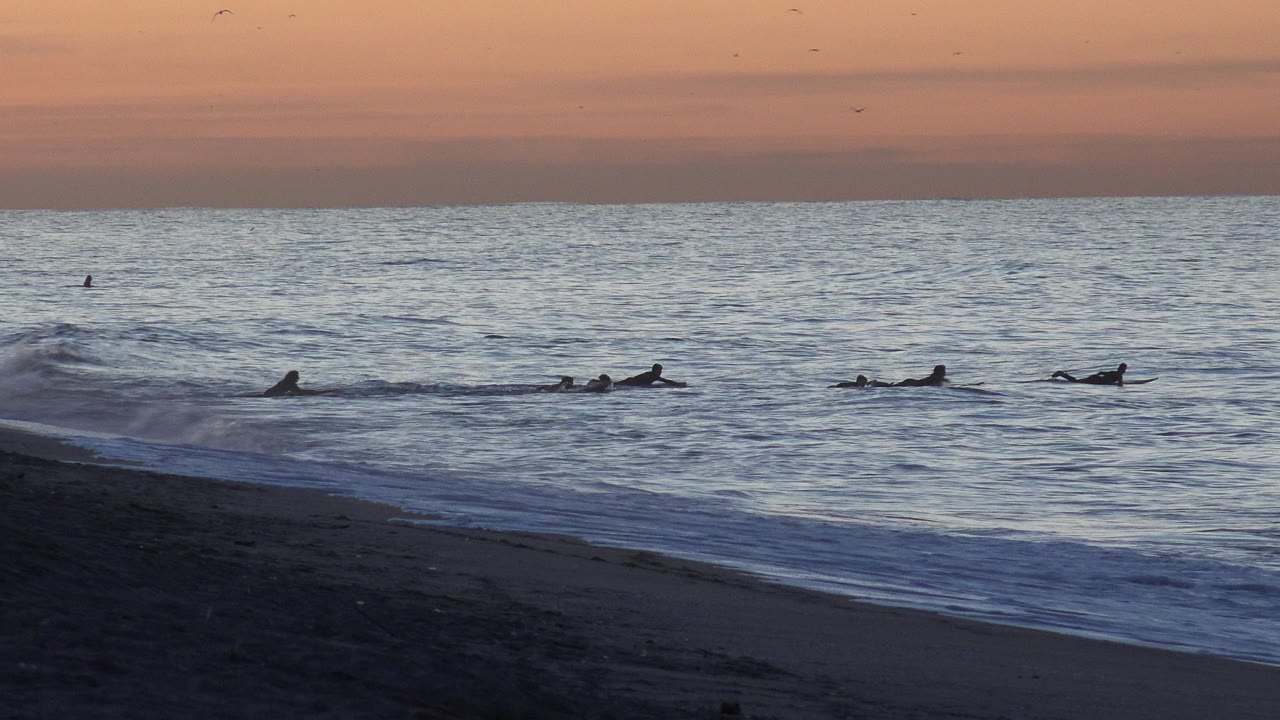 Distant surfers paddle in the ocean at sunset near a dark beach.
