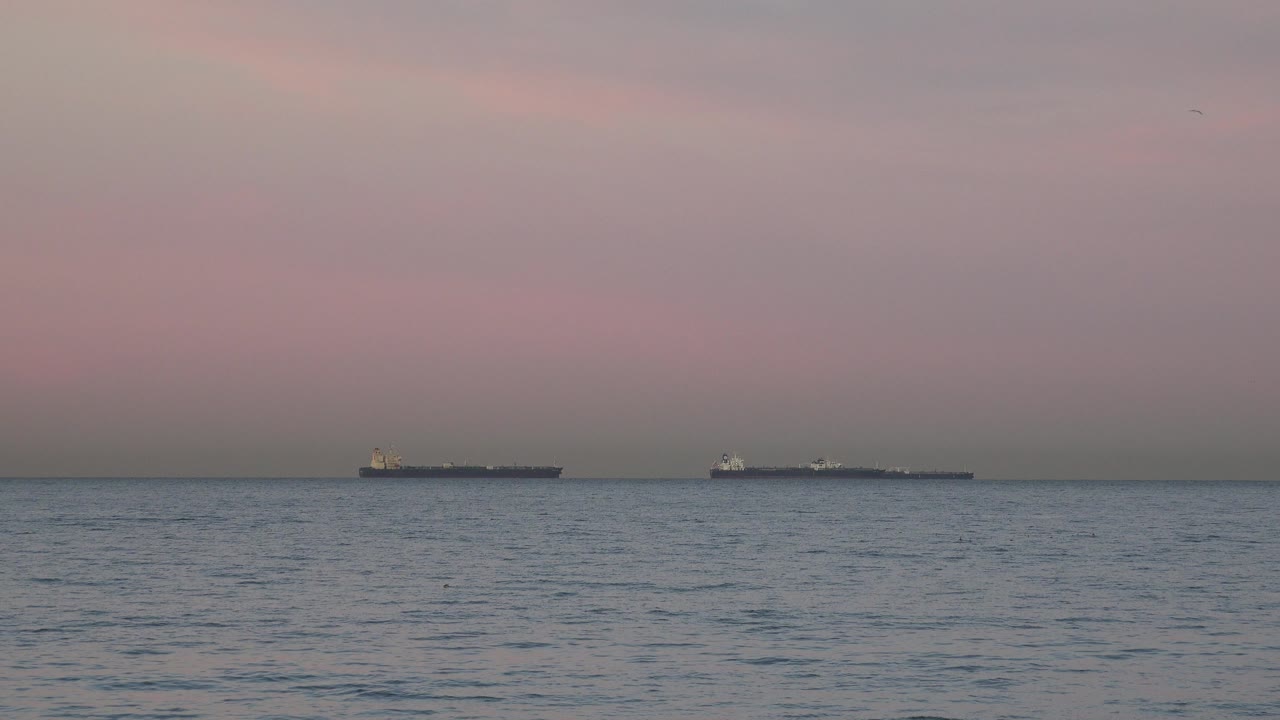 Distant cargo ships on the horizon under a cloudy pink-gray sky.