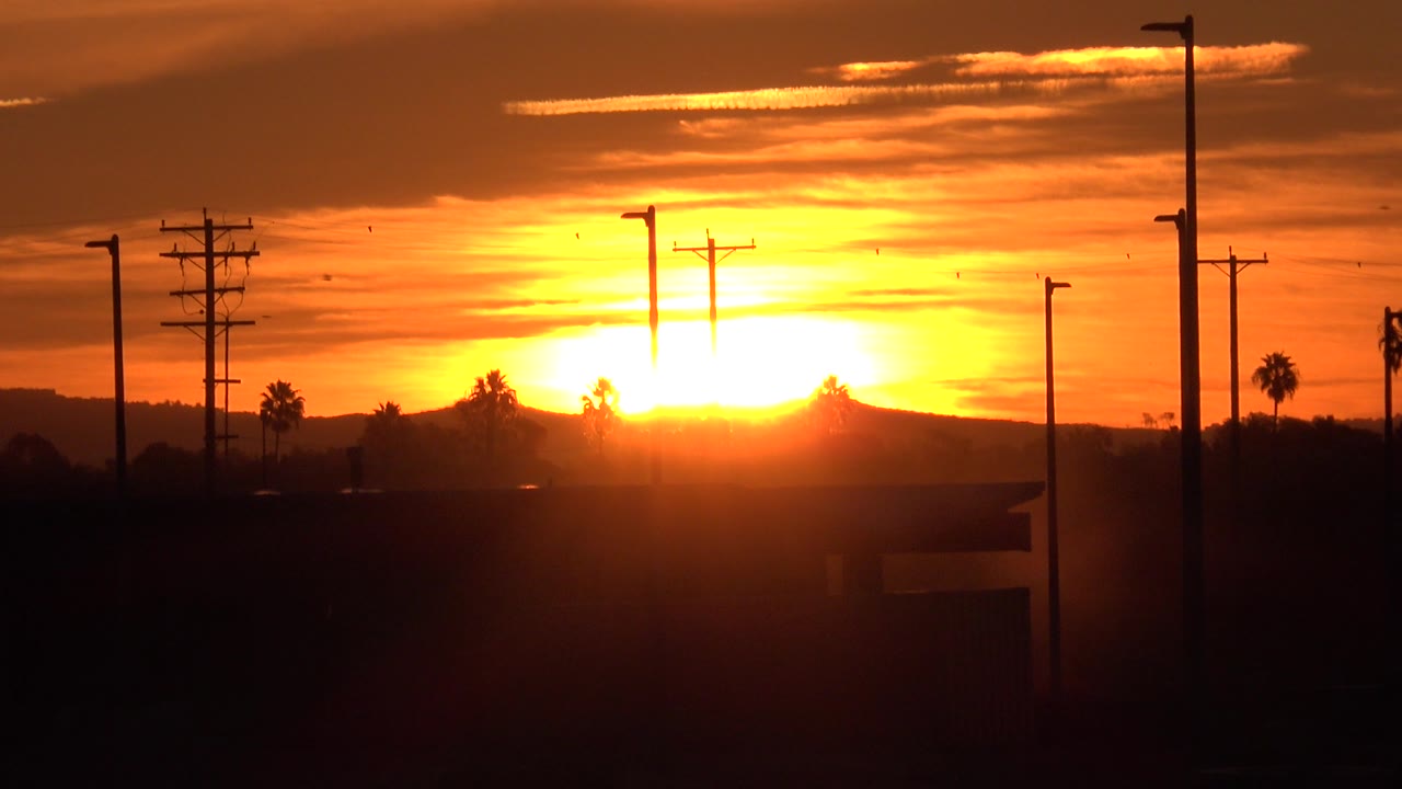 Sunset flare with silhouetted streetlights, utility poles, and palm trees.