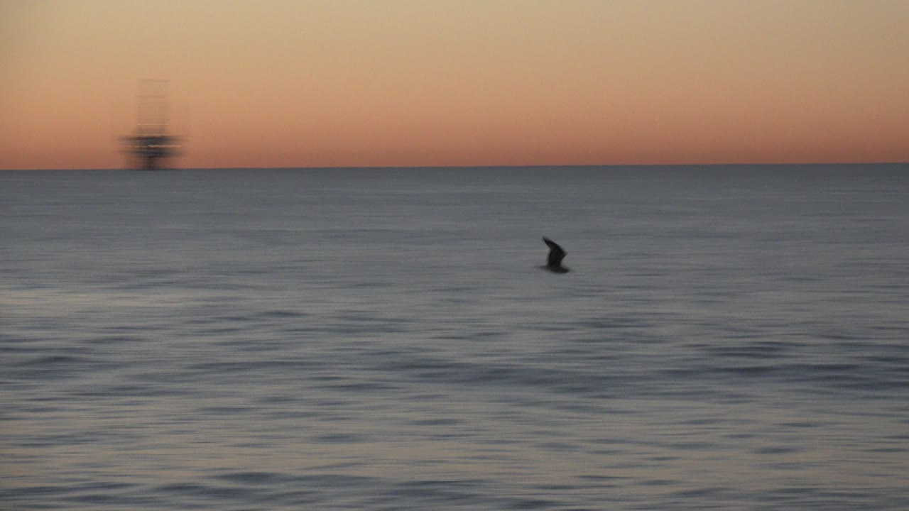 A small dark bird flies over rippled ocean water at Huntington Beach under a warm sunset sky, with a faint distant shape near the horizon and no visible people.