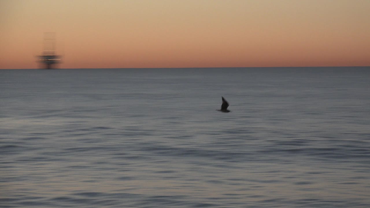 The bird appears slightly right of center over the Huntington Beach ocean, with blue-gray waves below, orange light along the horizon, and no visible people.
