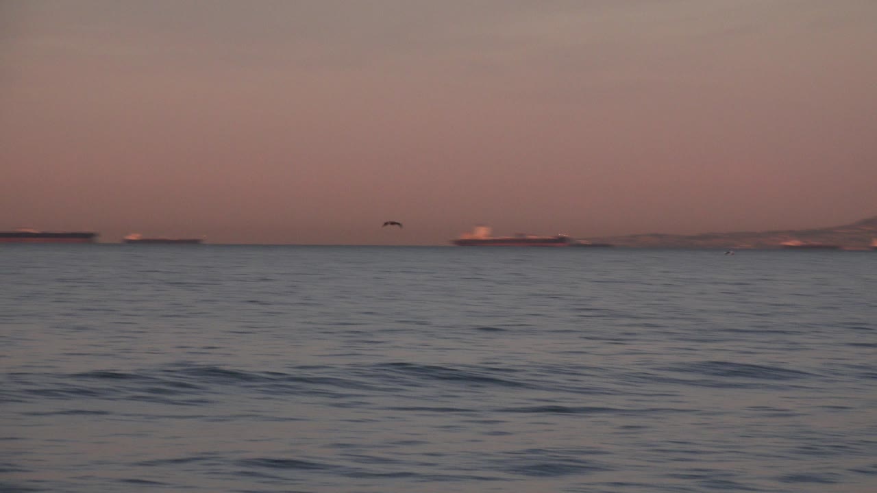 Ocean surface with a small bird and distant ship.