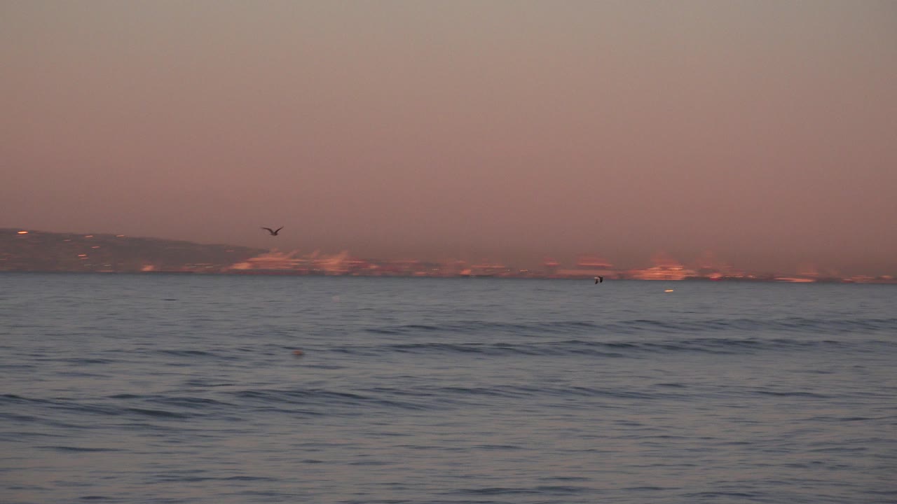 At Huntington Beach, California, small swells cross the foreground while birds pass over the distant skyline in warm morning light, with no visible people.