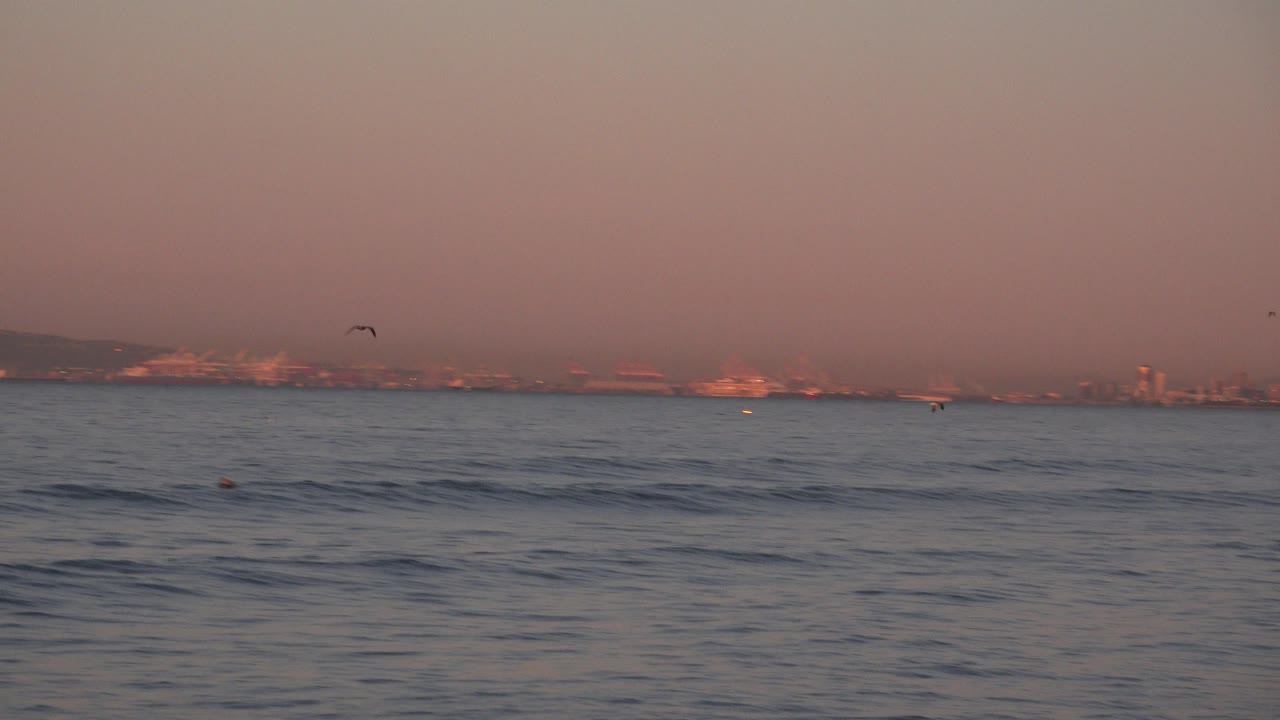 Ocean surface and distant coast with a bird silhouetted in the sky.