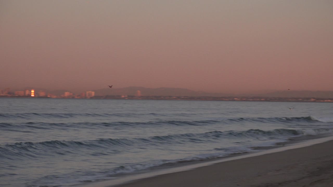 Beach shoreline curves beside rolling waves at sunset.