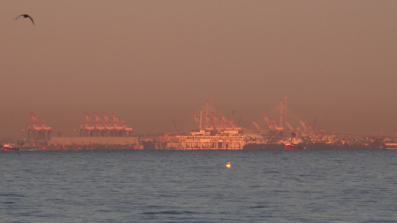 Bird near top of frame above sunset ocean
