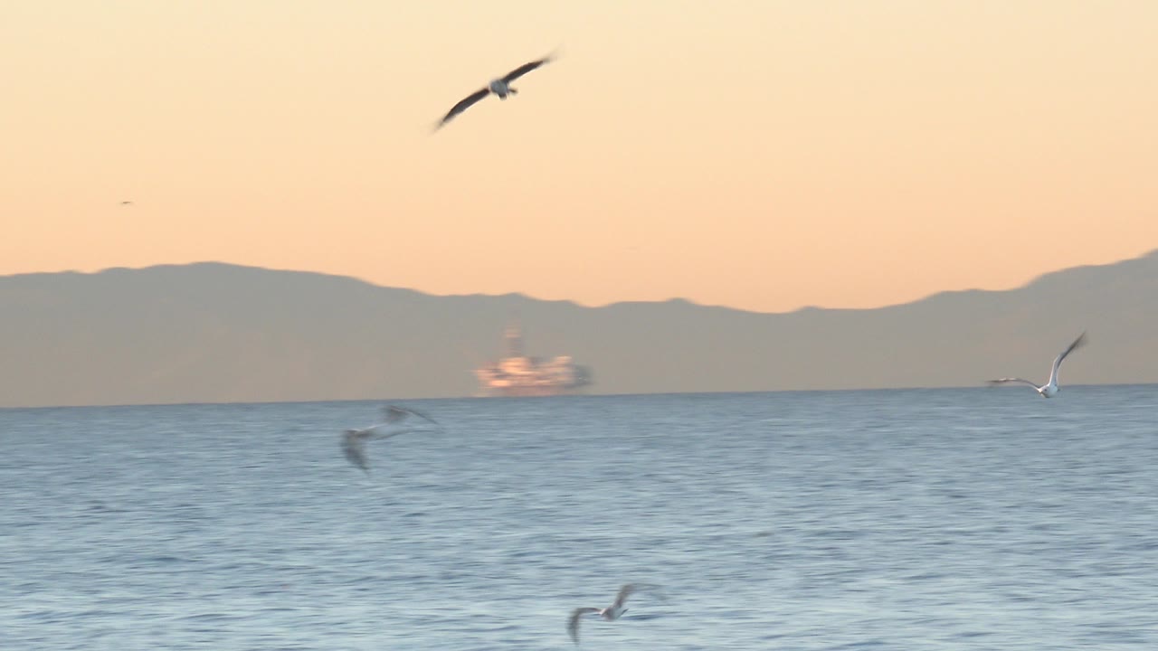 Seagulls fly over blue ocean water at Huntington Beach, California, with a warm sky, distant mountain silhouette, and no visible people.