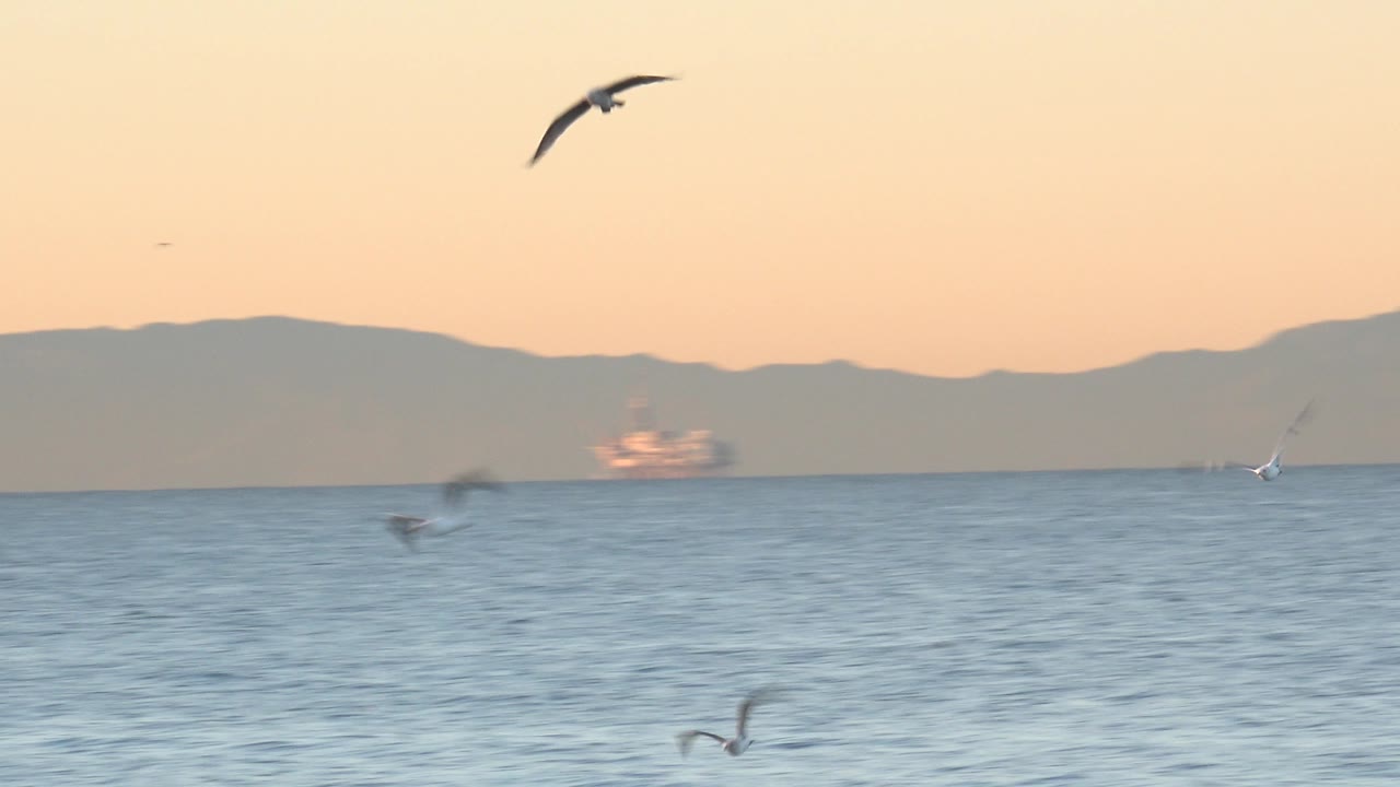 A gull glides high over the ocean while other birds skim the water at Huntington Beach, California, with mountains and warm sky behind them and no visible people.
