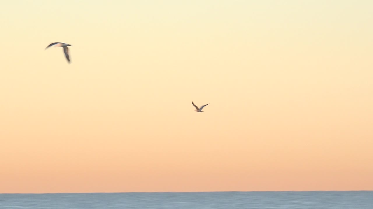 Several birds fly high over the ocean horizon at sunset in Huntington Beach, California, with warm orange sky and no visible people.