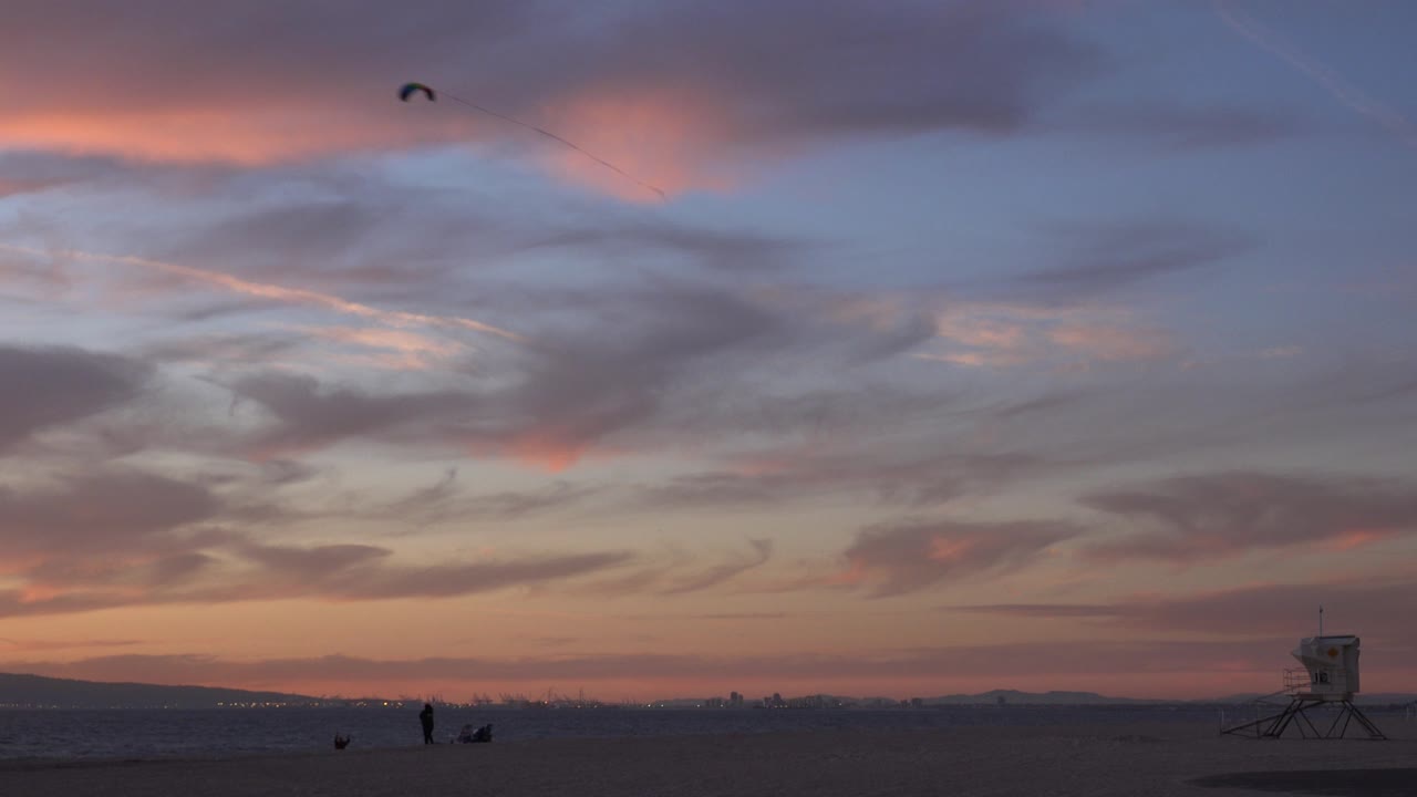 Large bird silhouette high over a sunset beach horizon.