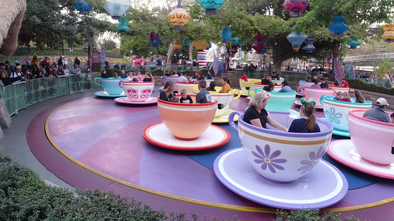 Guests ride colorful teacups beneath decorative lanterns and trees.