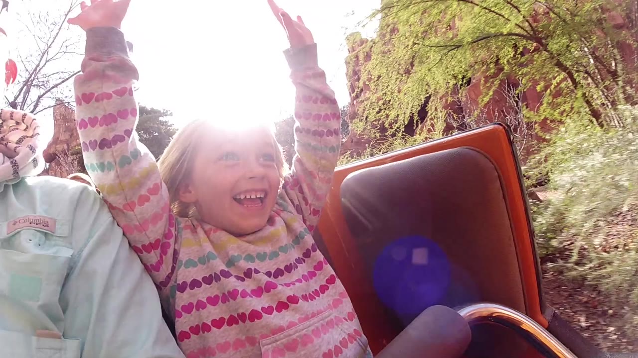 A smiling child with both arms raised sits in a ride car at Disneyland California, with a partial adult at left, brown seat padding, trees, and bright sun flare behind the head.