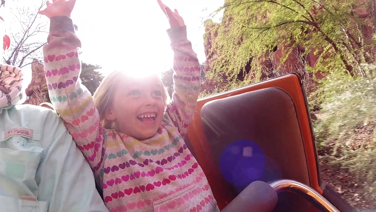 The child laughs in the foreground at Disneyland California, arms still lifted, with the adult partly cropped on the left and sun glare washing the upper center of the frame.
