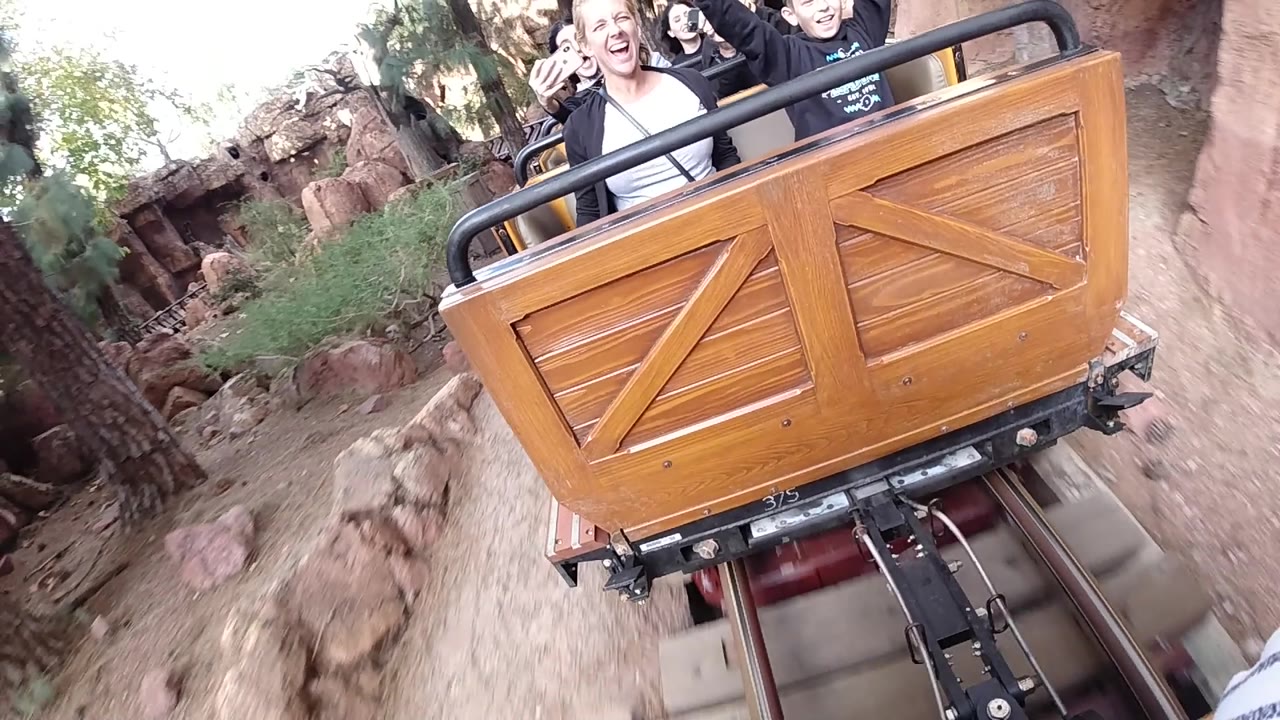 Wooden coaster car beside a large tree and rocky ride scenery.