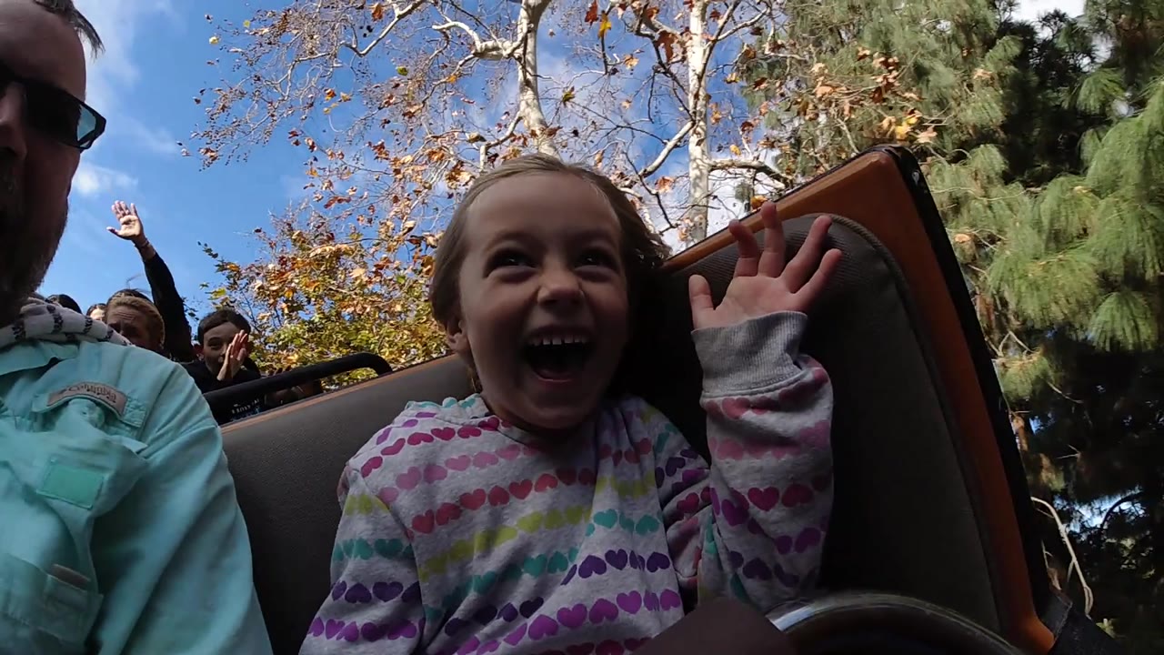 Girl smiling on the coaster with riders and tree branches behind.