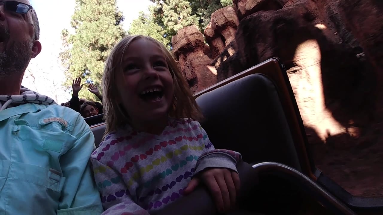 Girl smiling in a shadowed coaster seat beside an adult.