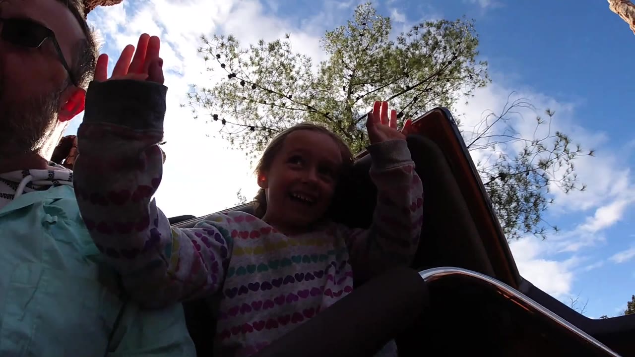 Backlit child and adult ride a roller coaster under trees and sky.