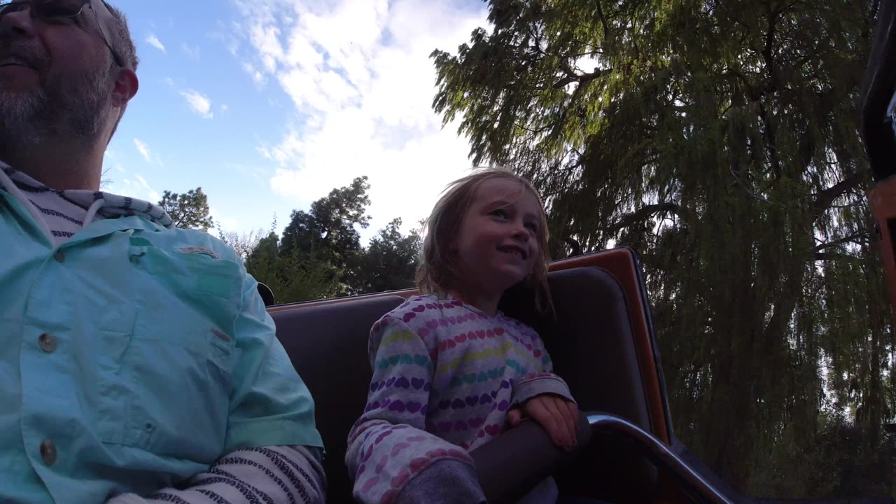Girl and adult on ride with trees overhead.