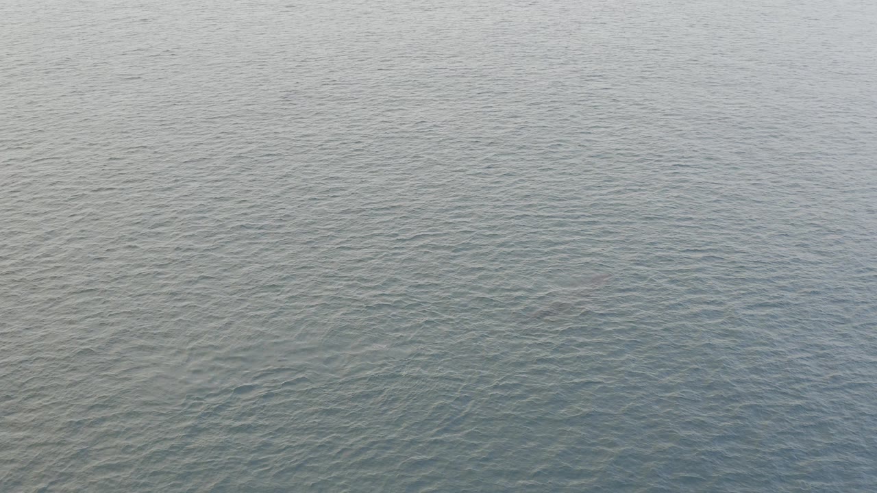 Muted ocean surface with fine ripples and no visible people.