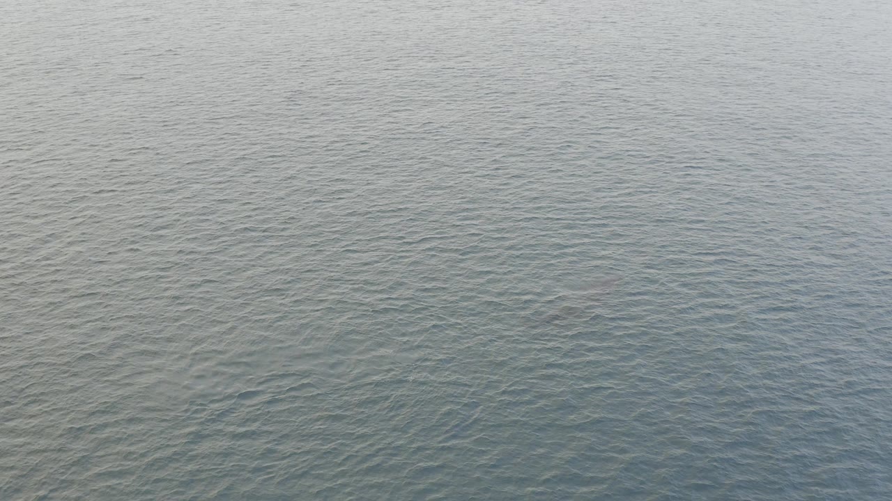 Elevated Baja California Sur ocean view with fine ripples, subtle green-blue underwater color shifts, and no visible people.