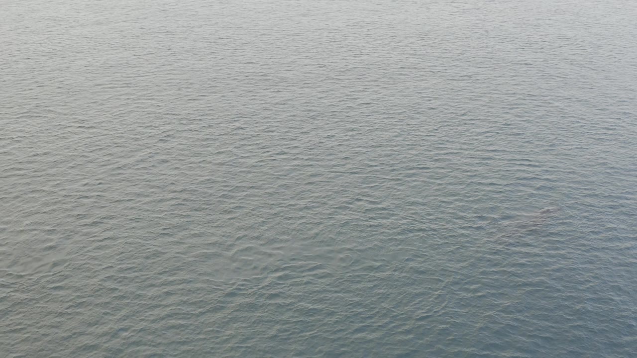 Blue-gray ocean in Baja California Sur with a faint whale-like dark form beginning to appear near the right side and no visible people.