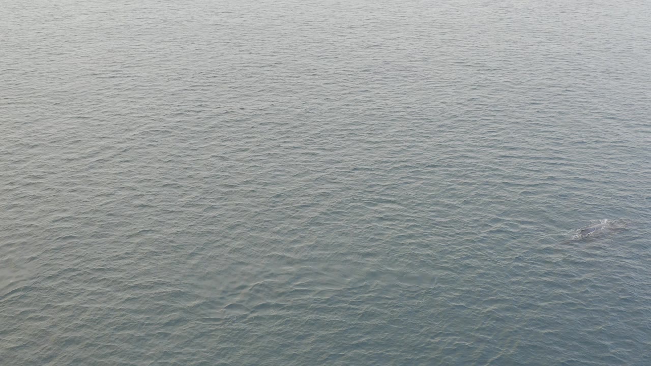 Overhead view of rippled blue-green ocean water.