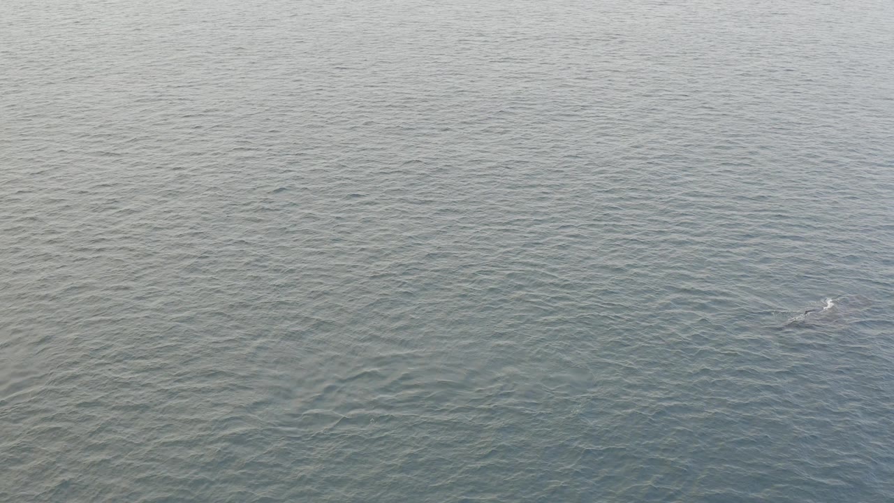 Overhead Baja California Sur water view with faint ripples, muted blue-green color, a small bright surface mark at right, and no visible people.