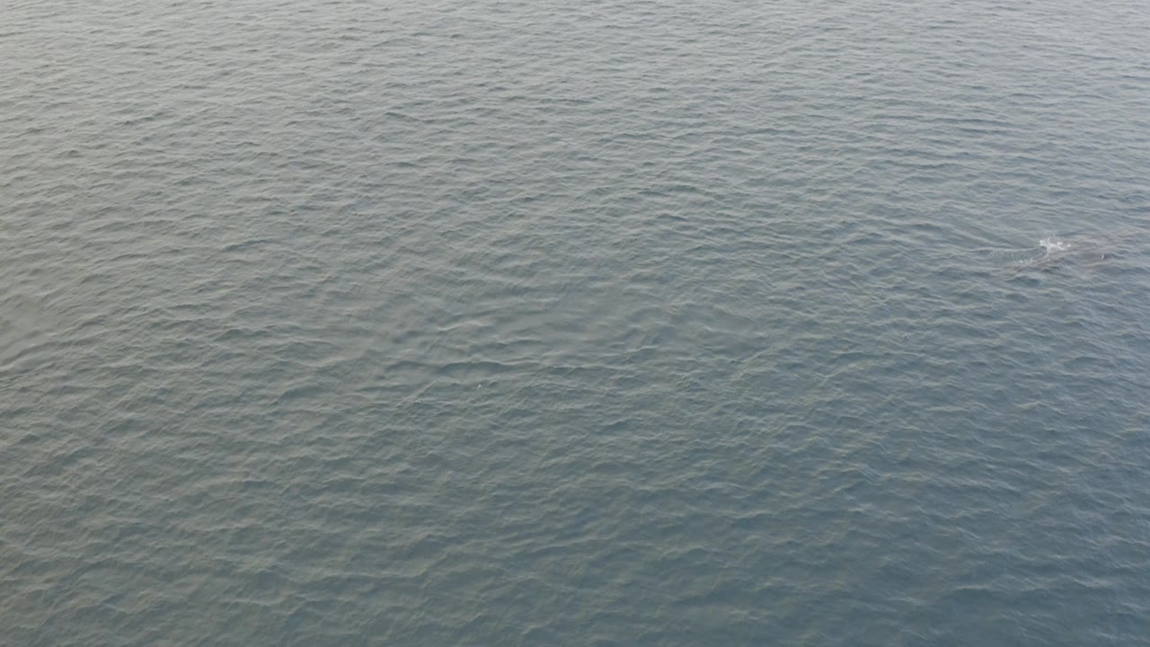 Aerial view of Baja California Sur ocean ripples with a small white patch left of center and no visible people or vessels.