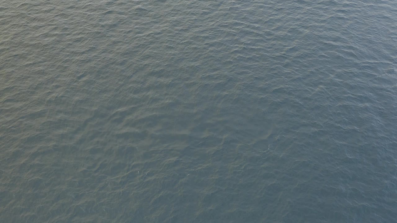 Open blue-green water in Baja California Sur fills the frame, with fine wave texture and no visible shoreline, vessels, or people.