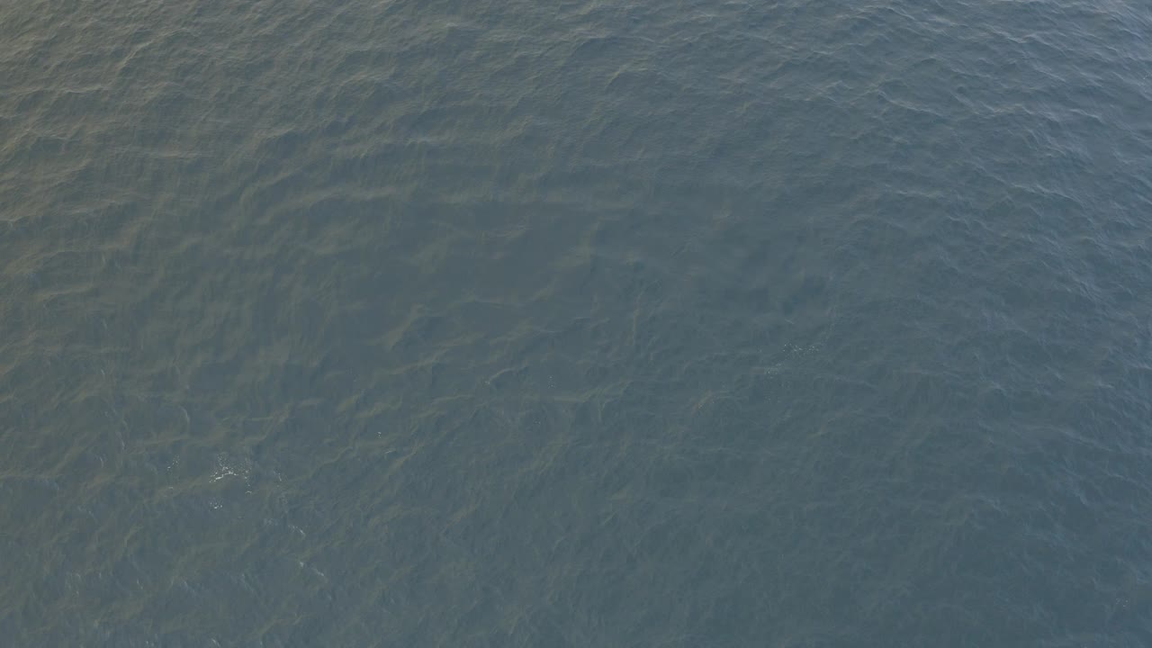 Blue-green ocean surface in Baja California Sur fills the frame at the opening moment, with faint darker underwater shapes and no visible people.