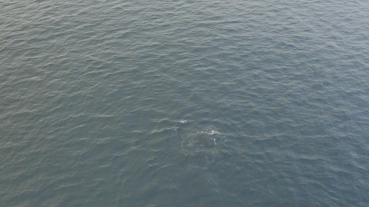 Aerial ocean view in Baja California Sur, Mexico, with a dim whale silhouette under the right side of the rippled water and no visible people.