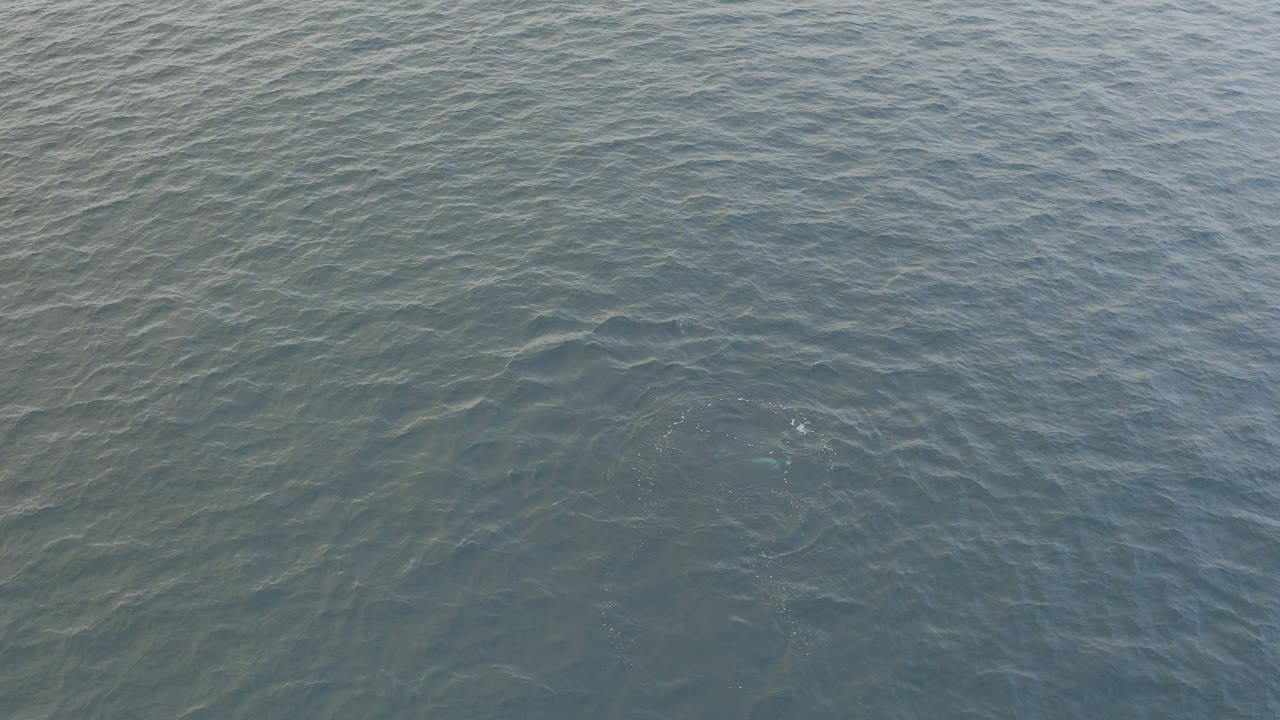 Blue ocean surface with ripples and small pale splashes