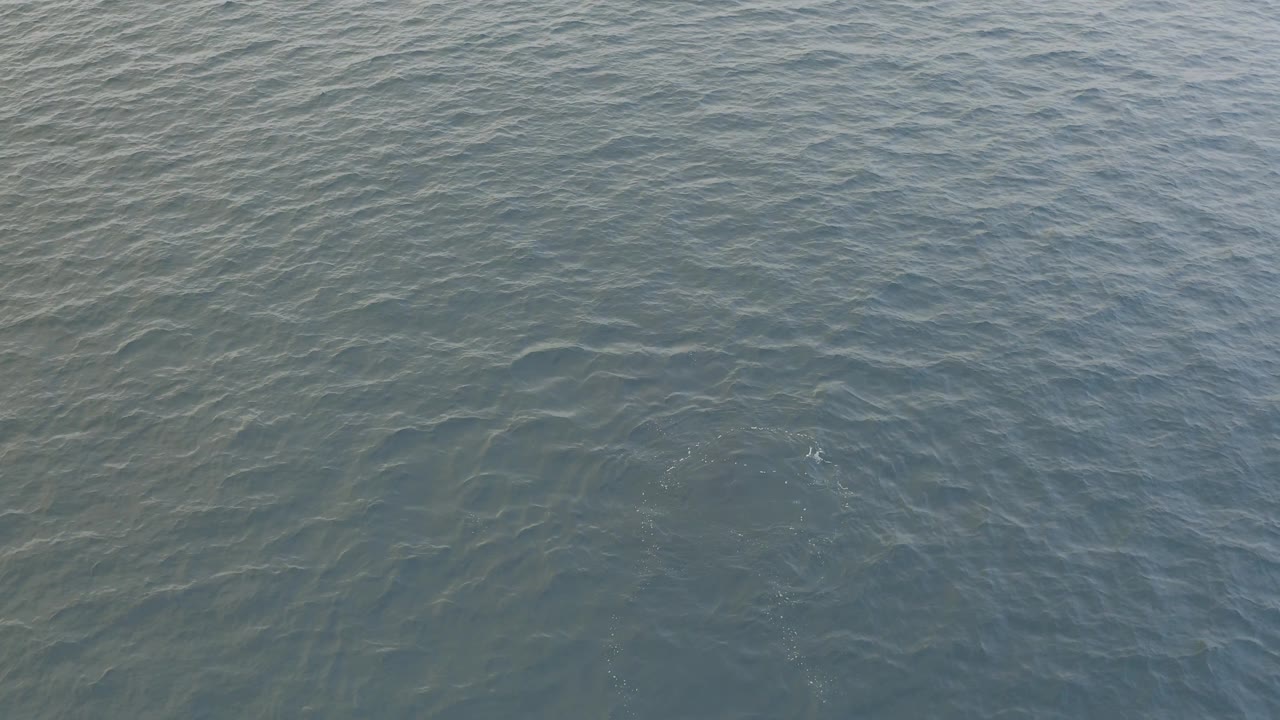 Overhead Baja California Sur ocean view with dense ripples and a small bright splash near the right side of the frame, no visible people.