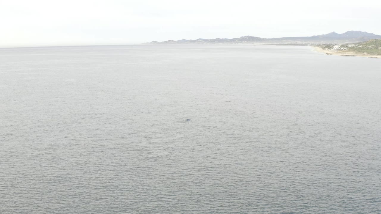 Wide aerial ocean view with distant Baja California Sur coastline and a small whale shape in the water