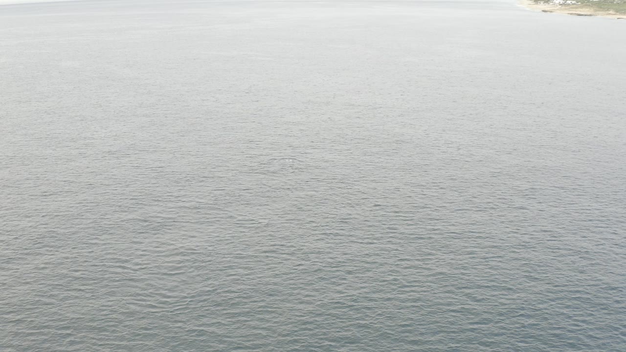 Aerial view over grey-green lake water in Baja California Sur, with a thin pale shoreline along the upper edge and no visible people.