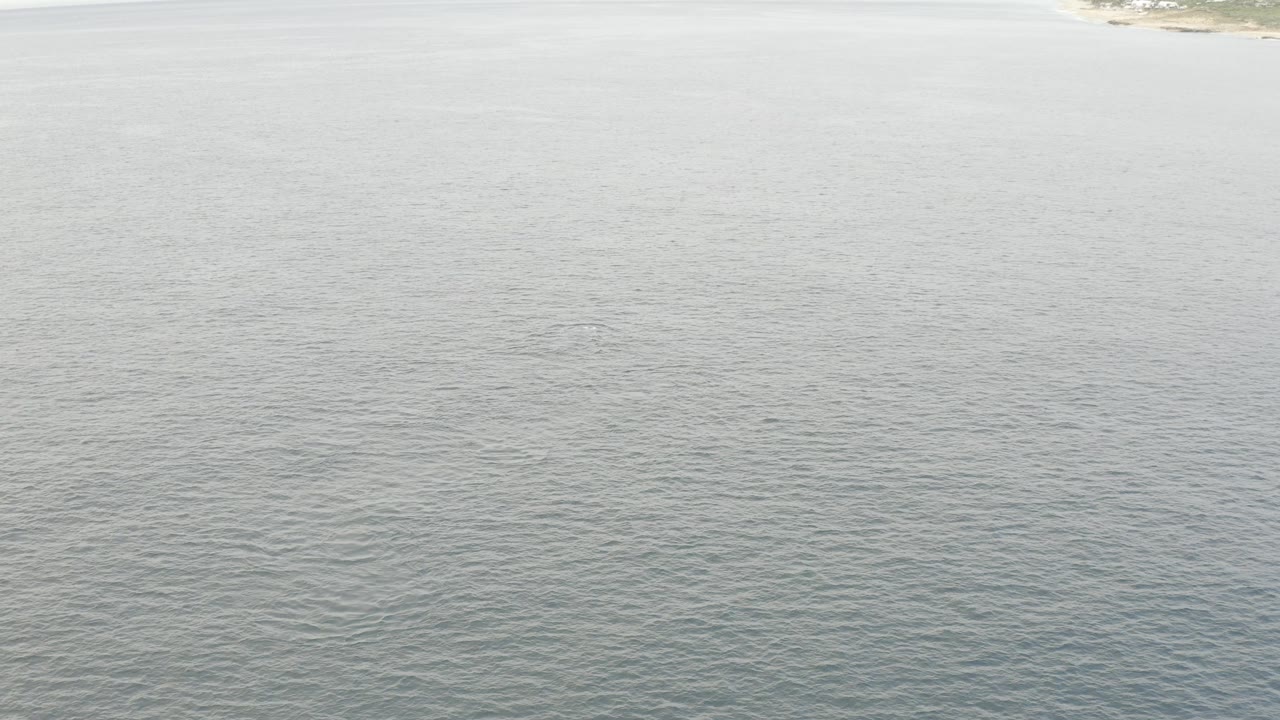 Aerial lake view in Baja California Sur with textured grey water across the frame, a small shoreline sliver near the top right, and no visible people.