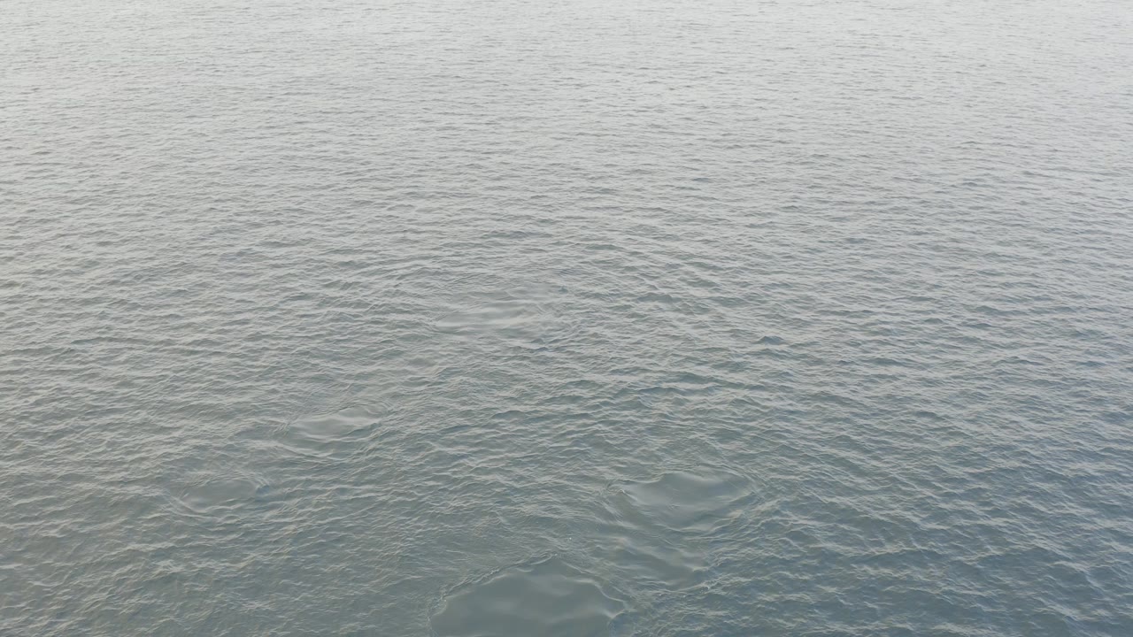 Open gray-blue water in Baja California Sur fills the frame at the start of the clip, with fine ripples and no visible people.