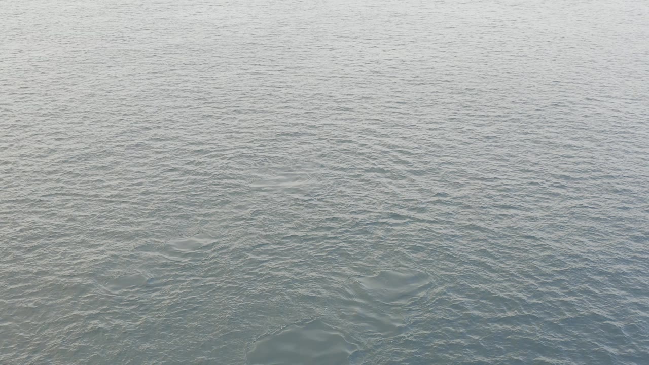 Rippled open water with no land or objects visible.