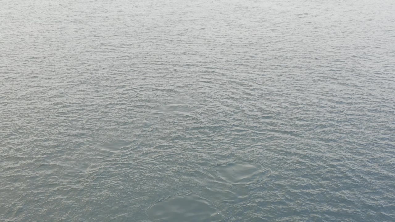 Calm gray-green ocean texture fills the Baja California Sur frame, with soft highlights on the ripples and no visible people.