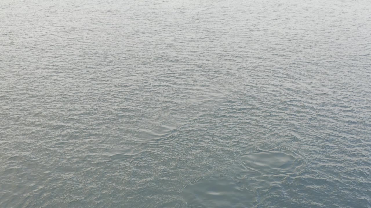 Gray ocean surface in Baja California Sur with faint circular ripple marks forming near the lower half of the frame and no visible people.