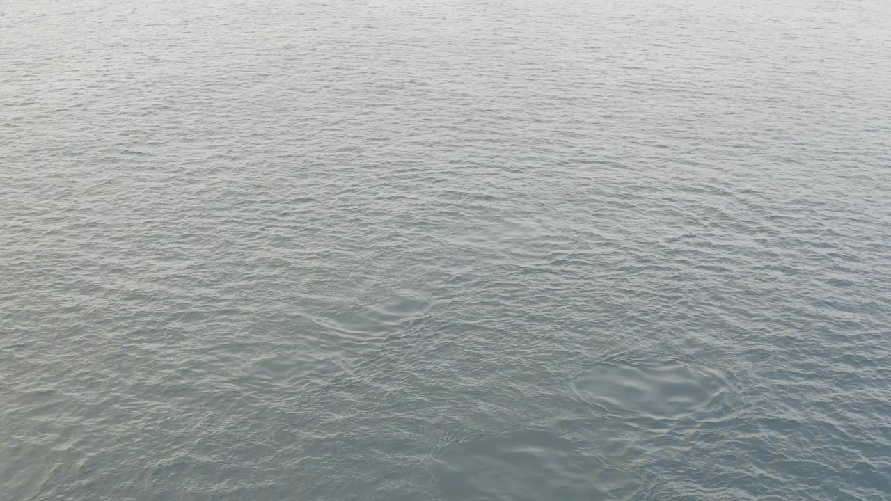 Flat gray water surface with fine wave texture.