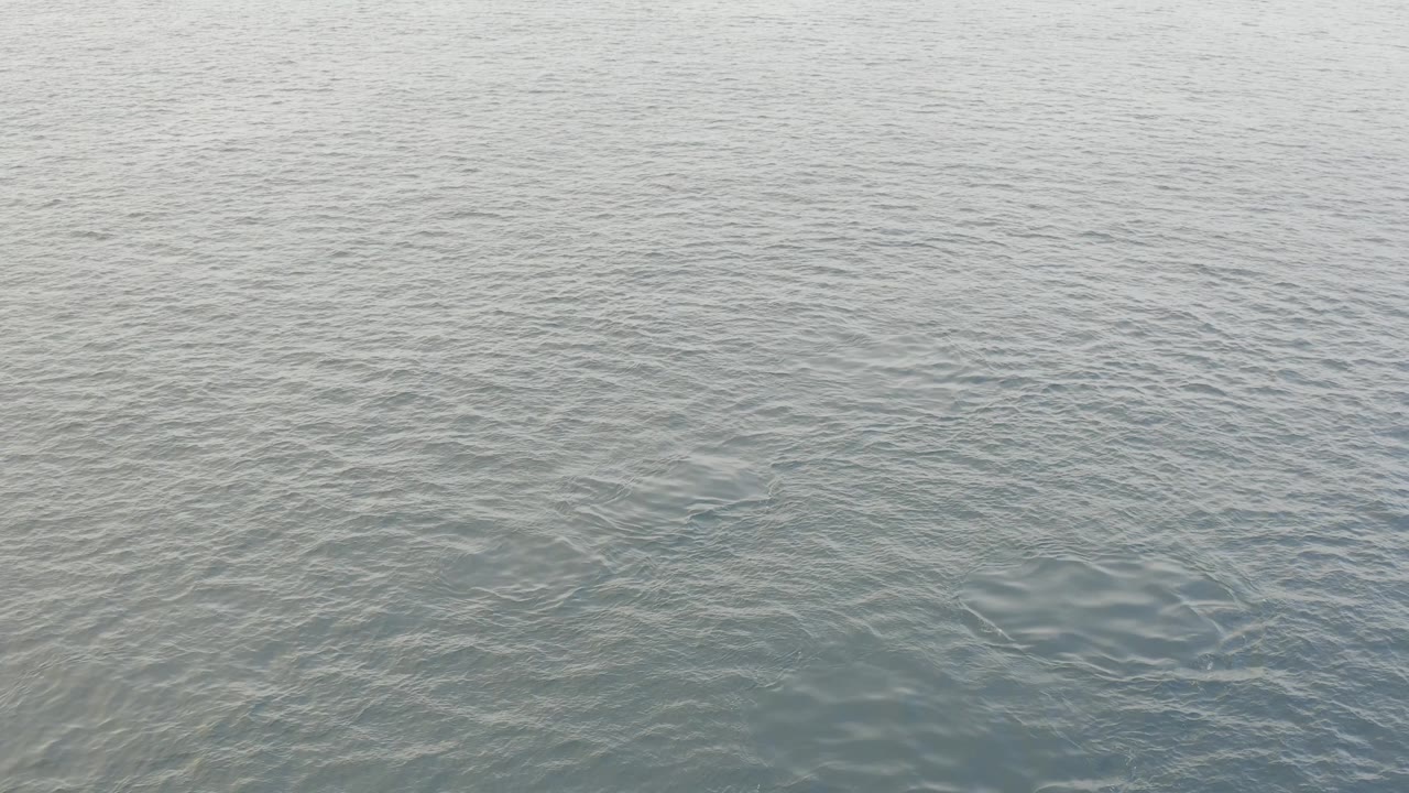 A flat field of Baja California Sur ocean water shows small wavelets spread evenly across the frame, with no visible people.